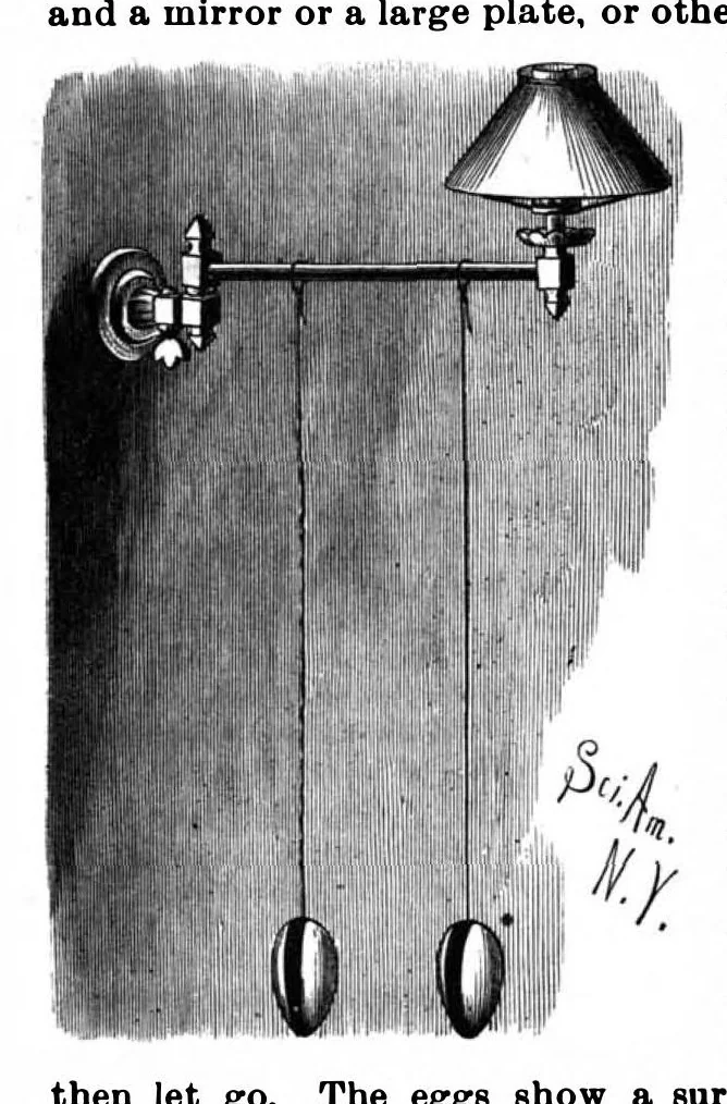 An illustration from Scientific American, Vol. 61, No. 5 (August 1889), 1889, leaf 9