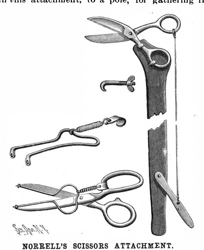 An illustration from Scientific American, Vol. 61, No. 15 (October 1889), 1889, leaf 3