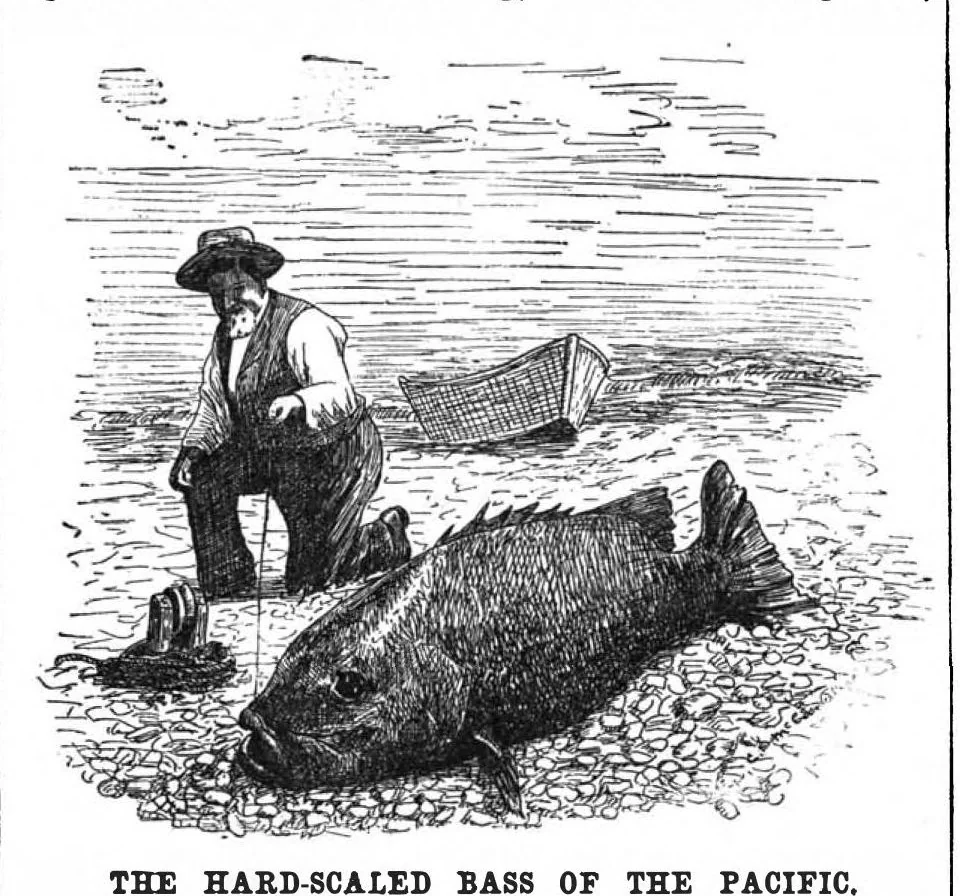 An illustration from Scientific American, Vol. 61, No. 17 (October 1889), 1889, leaf 10