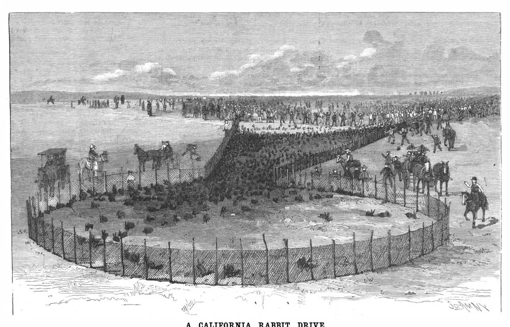 An illustration from Scientific American, Vol. 61, No. 19 (November 1889), 1889, leaf 8