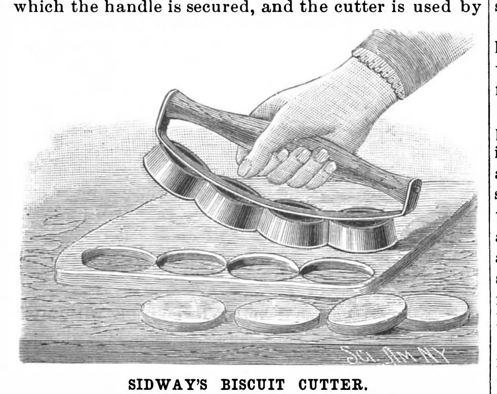 An illustration from Scientific American, Vol. 61, No. 21 (November 1889), 1889, leaf 4