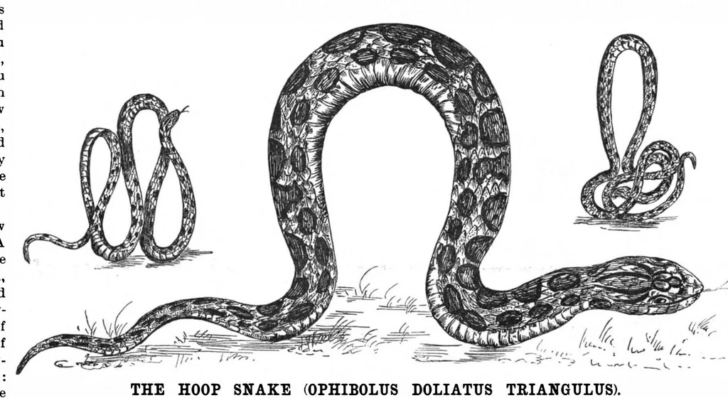 An illustration from Scientific American, Vol. 61, No. 22 (November 1889), 1889, leaf 9