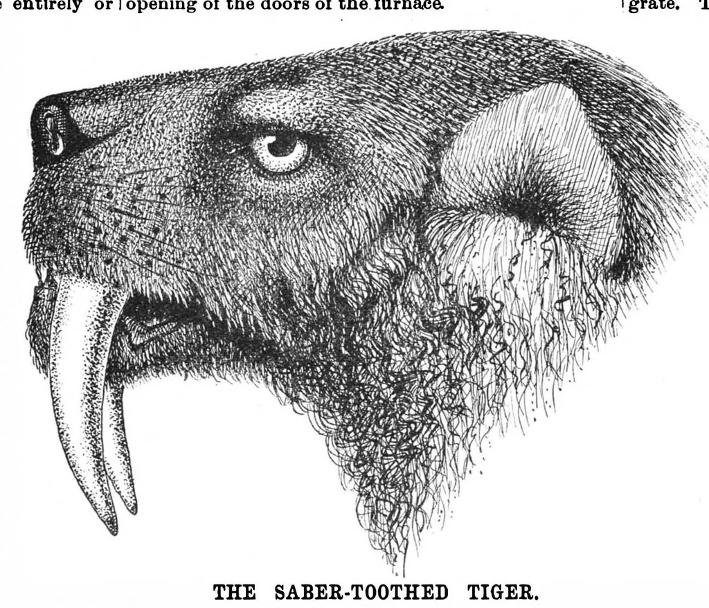 An illustration from Scientific American, Vol. 61, No. 25 (December 1889), 1889, leaf 7