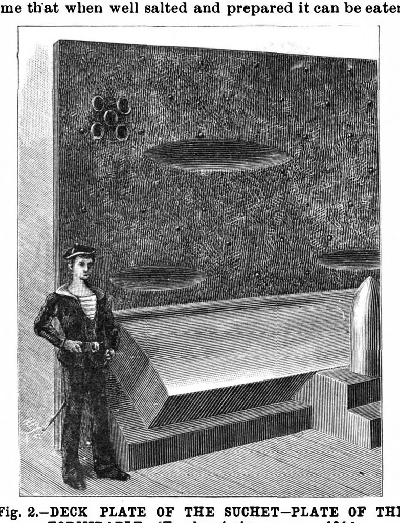 An illustration from Scientific American, Vol. 61, No. 26 (December 1889), 1889, leaf 7