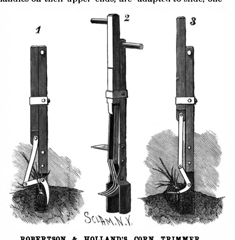 An illustration from Scientific American, Vol. 62, No. 4 (January 1890), 1890, leaf 3