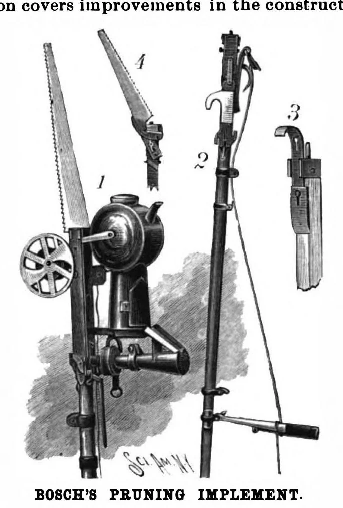 An illustration from Scientific American, Vol. 62, No. 4 (January 1890), 1890, leaf 4