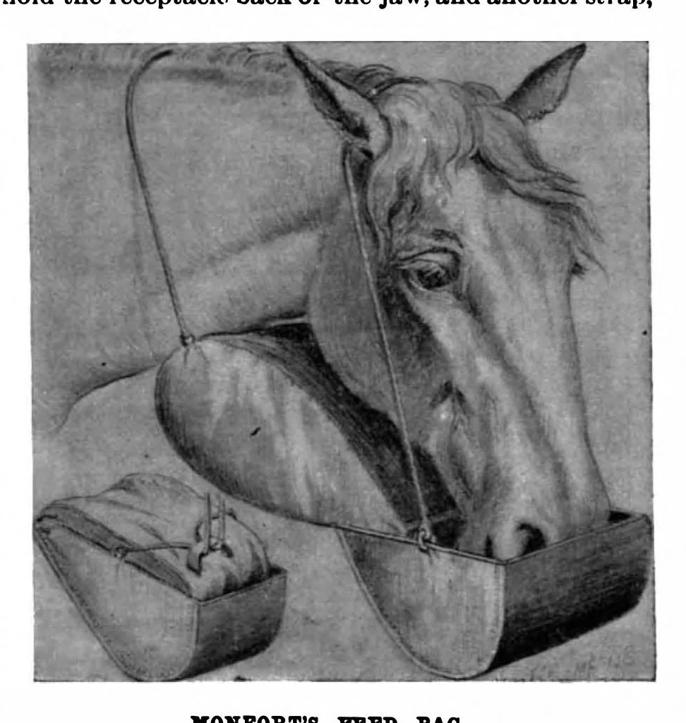 An illustration from Scientific American, Vol. 62, No. 5 (February 1890), 1890, leaf 9