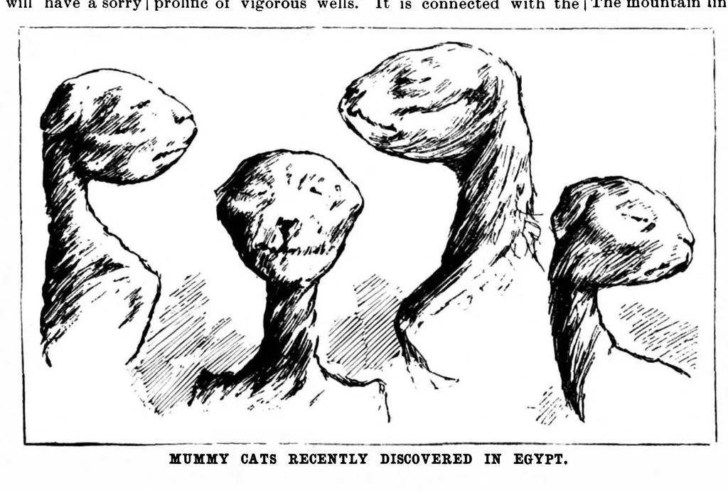 An illustration from Scientific American, Vol. 62, No. 11 (March 1890), 1890, leaf 8