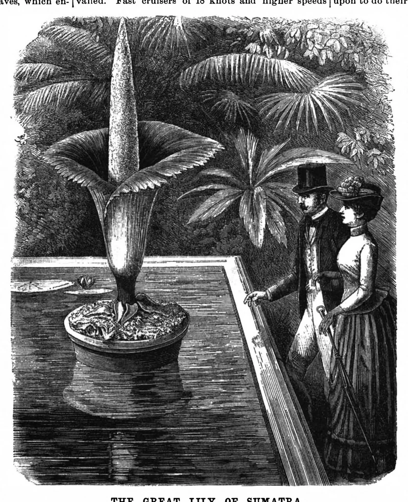 An illustration from Scientific American, Vol. 62, No. 20 (May 1890), 1890, leaf 9
