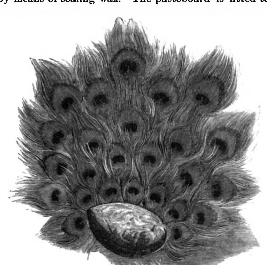 An illustration from Scientific American, Vol. 62, No. 25 (June 1890), 1890, leaf 10