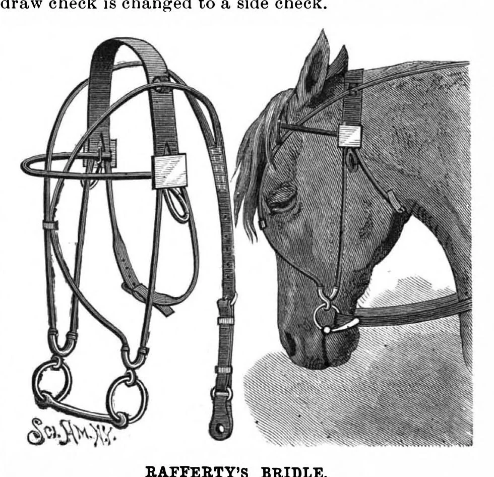 An illustration from Scientific American, Vol. 63, No. 3 (July 1890), 1890, leaf 4