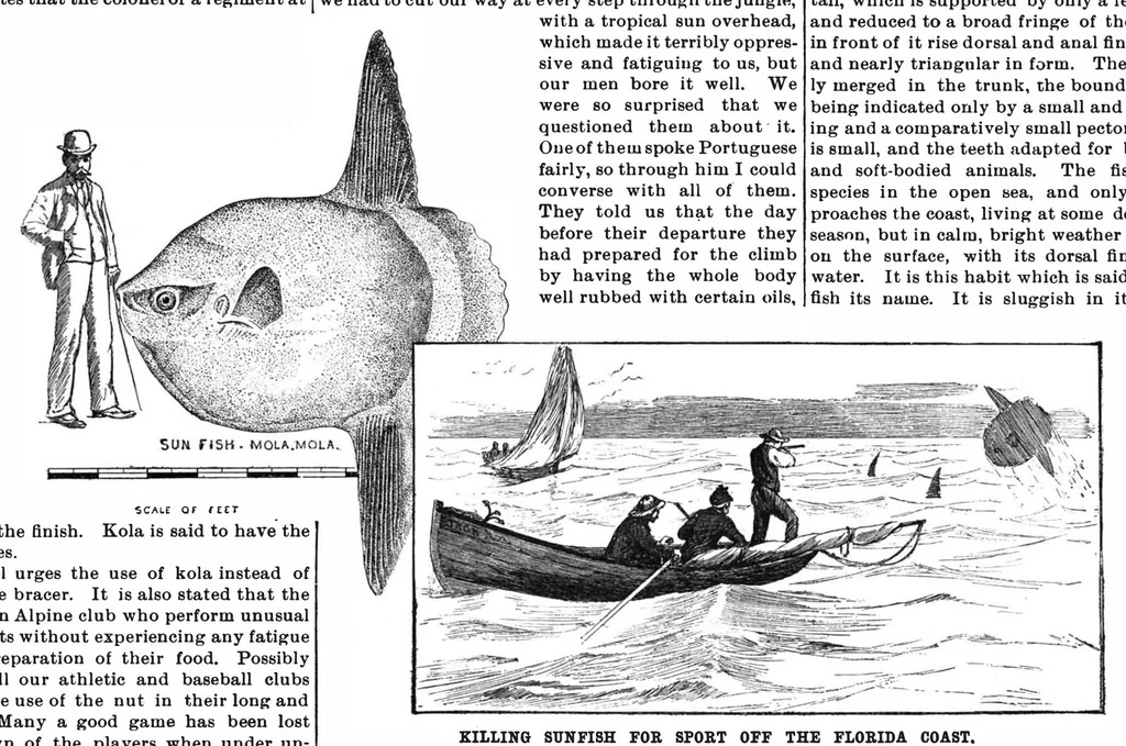 An illustration from Scientific American, Vol. 63, No. 11 (September 1890), 1890, leaf 8