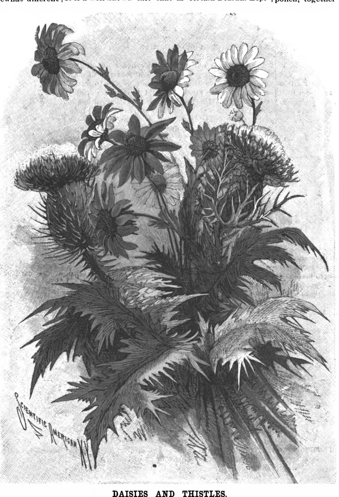 An illustration from Scientific American, Vol. 63, No. 12 (September 1890), 1890, leaf 8