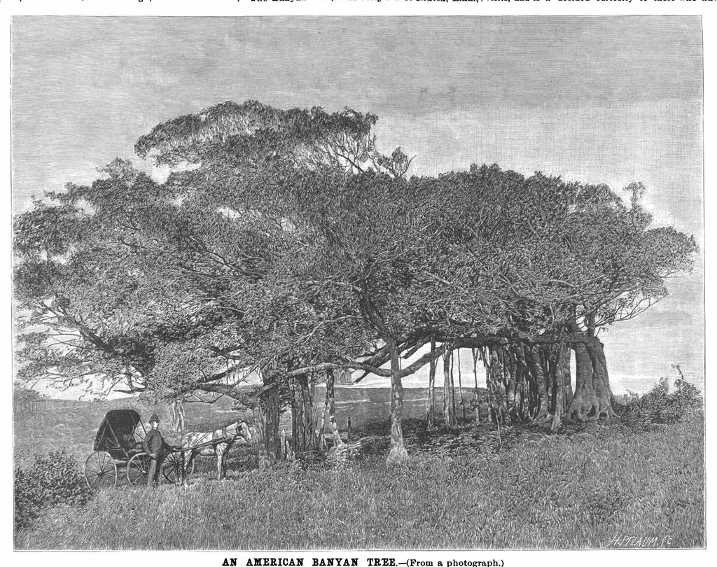 An illustration from Scientific American, Vol. 63, No. 14 (October 1890), 1890, leaf 8