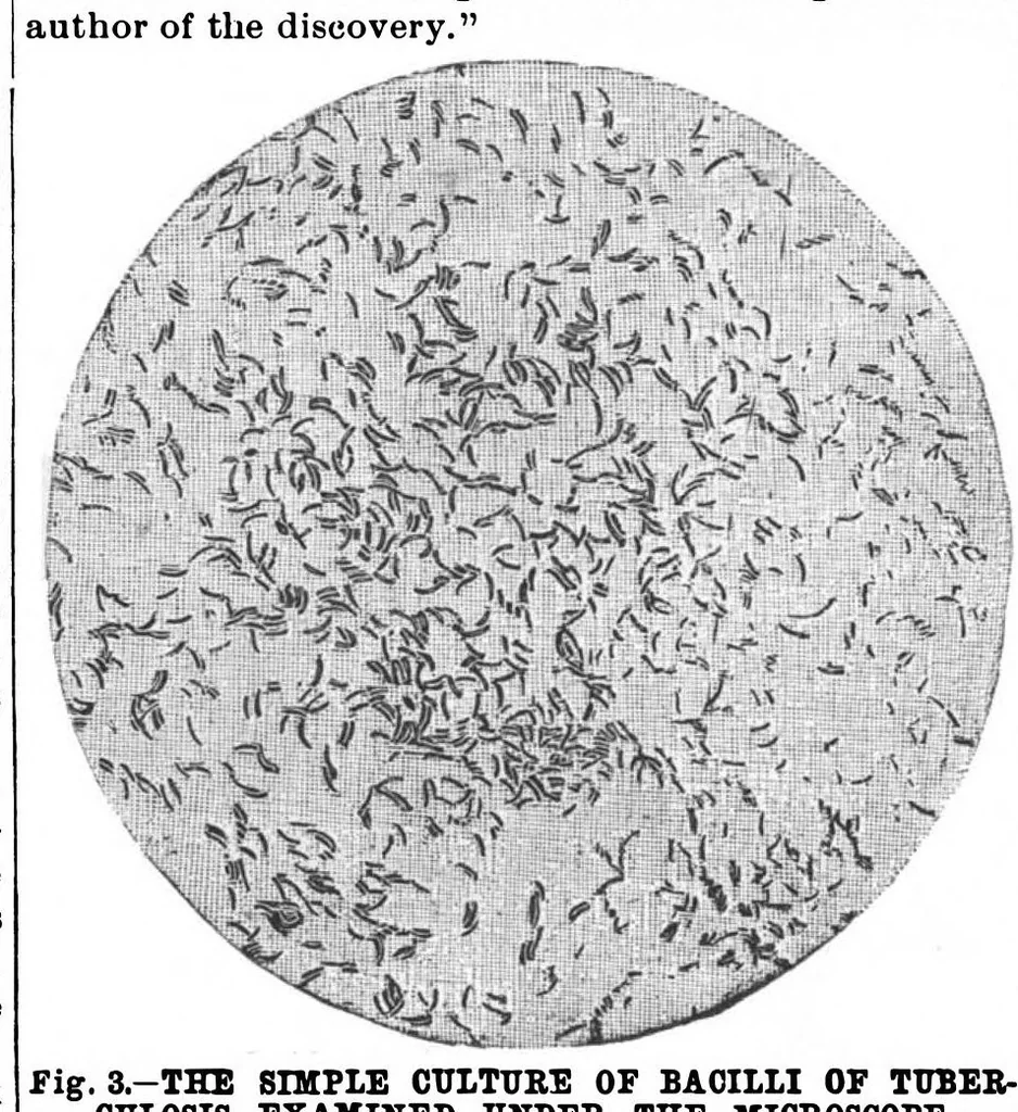 An illustration from Scientific American, Vol. 63, No. 23 (December 1890), 1890, leaf 7