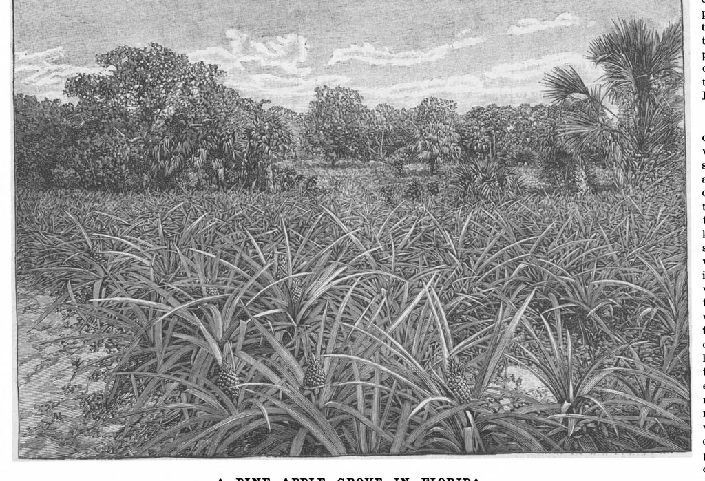 An illustration from Scientific American, Vol. 63, No. 25 (December 1890), 1890, leaf 7