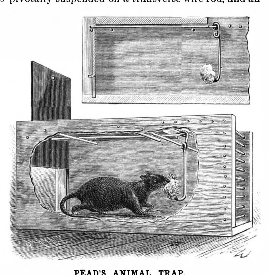 An illustration from Scientific American, Vol. 64, No. 3 (January 1891), 1891, leaf 4