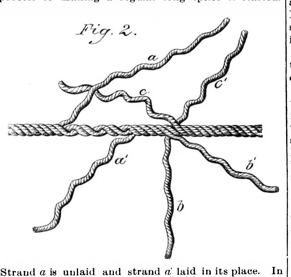 An illustration from Scientific American, Vol. 64, No. 3 (January 1891), 1891, leaf 9