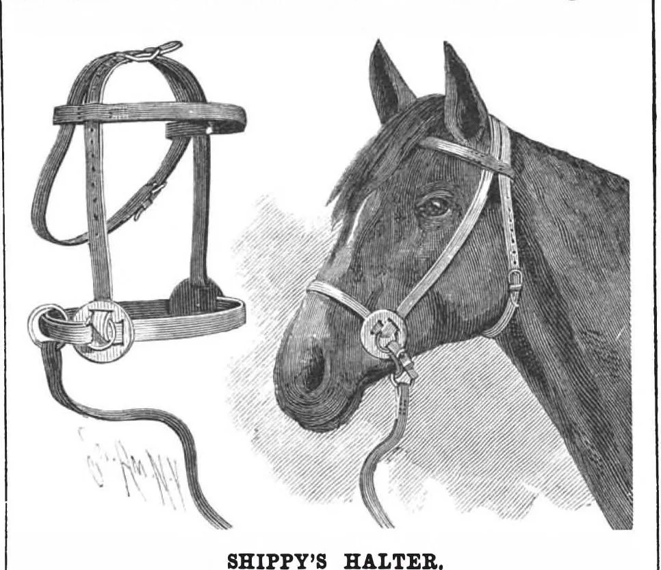 An illustration from Scientific American, Vol. 64, No. 6 (February 1891), 1891, leaf 5