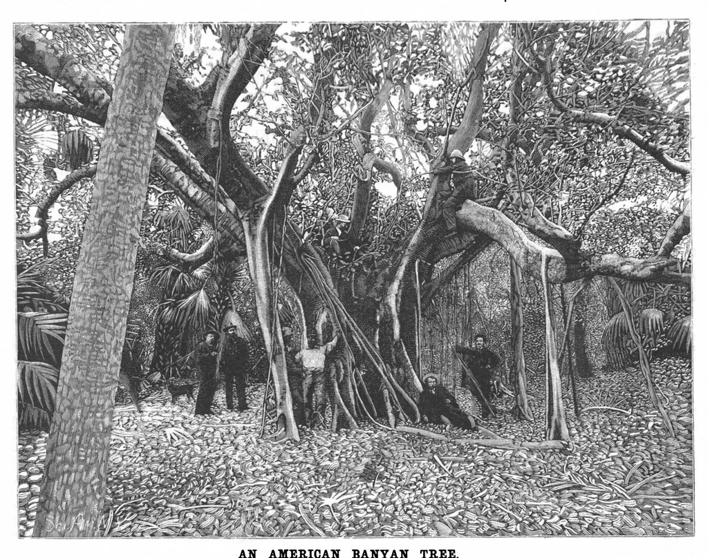 An illustration from Scientific American, Vol. 64, No. 9 (February 1891), 1891, leaf 10