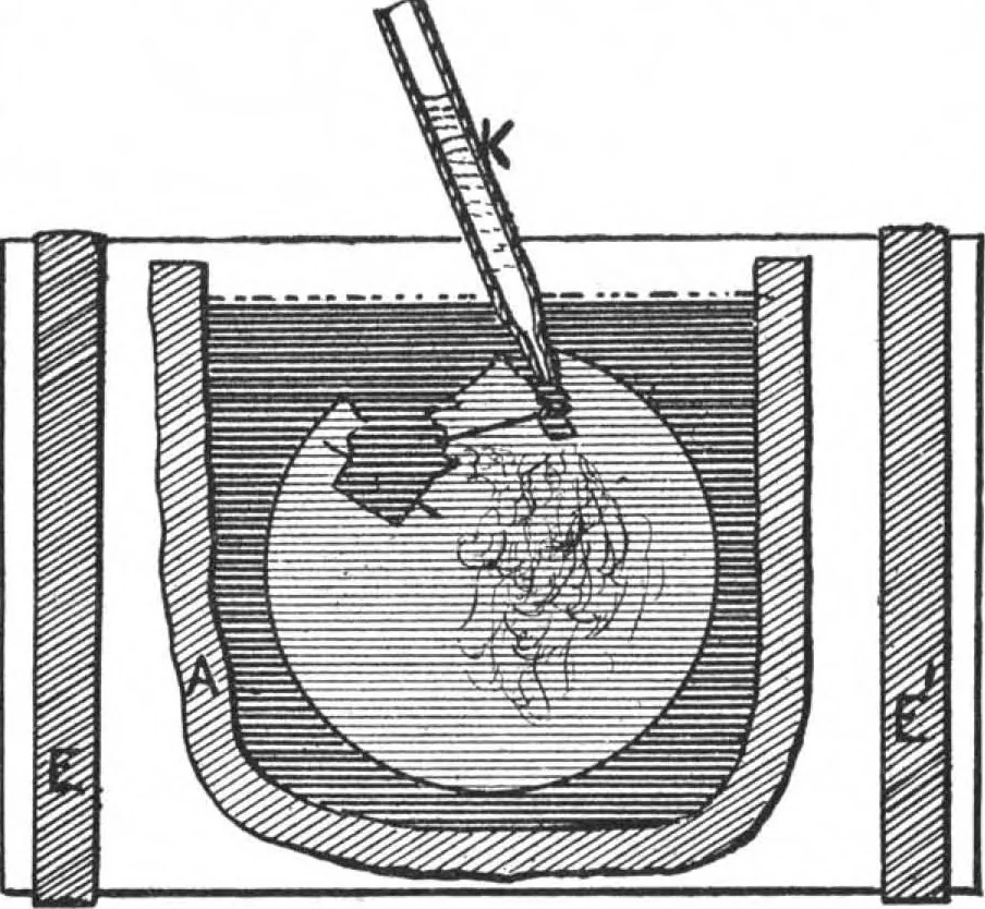 An illustration from Scientific American, Vol. 64, No. 11 (March 1891), 1891, leaf 6
