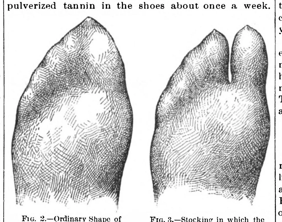 An illustration from Scientific American, Vol. 64, No. 12 (March 1891), 1891, leaf 10