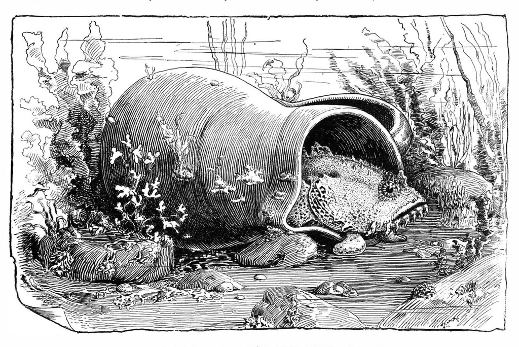 An illustration from Scientific American, Vol. 64, No. 13 (March 1891), 1891, leaf 8