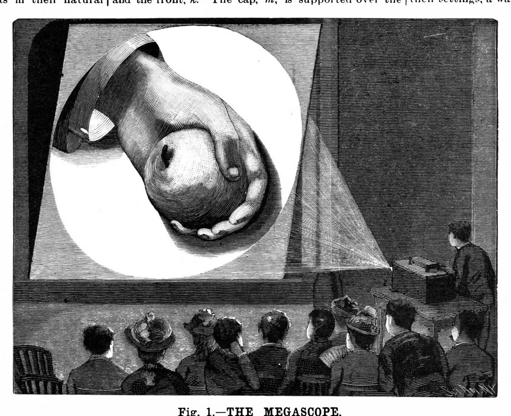 An illustration from Scientific American, Vol. 64, No. 14 (April 1891), 1891, leaf 9