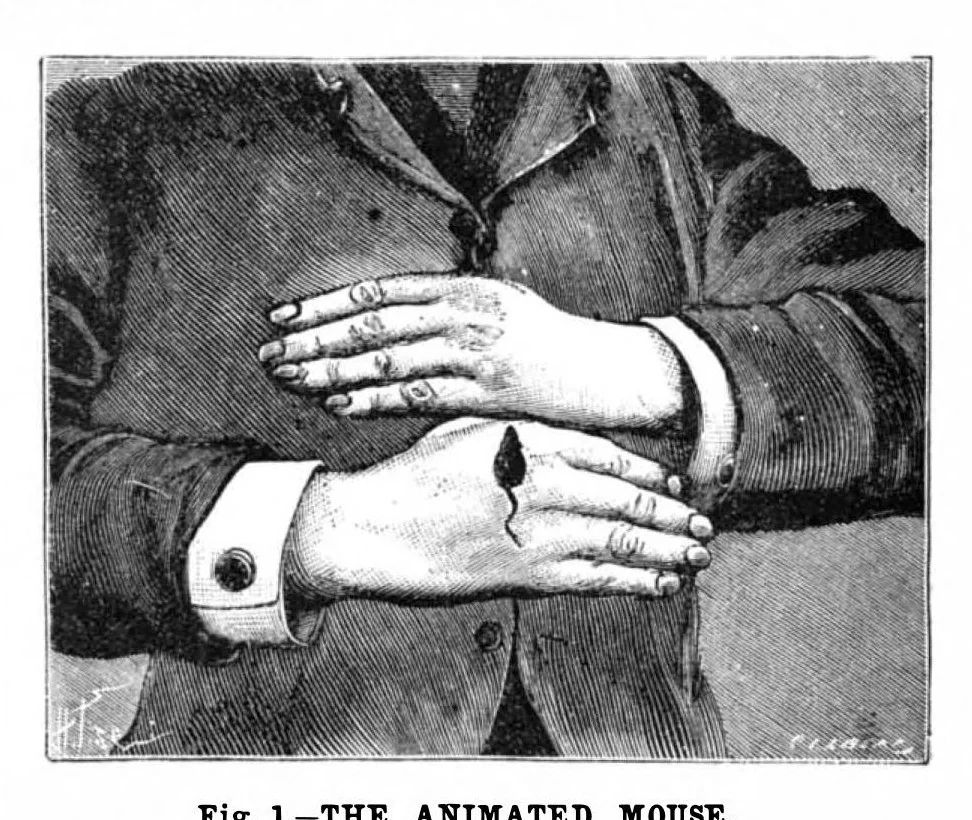 An illustration from Scientific American, Vol. 64, No. 18 (May 1891), 1891, leaf 8