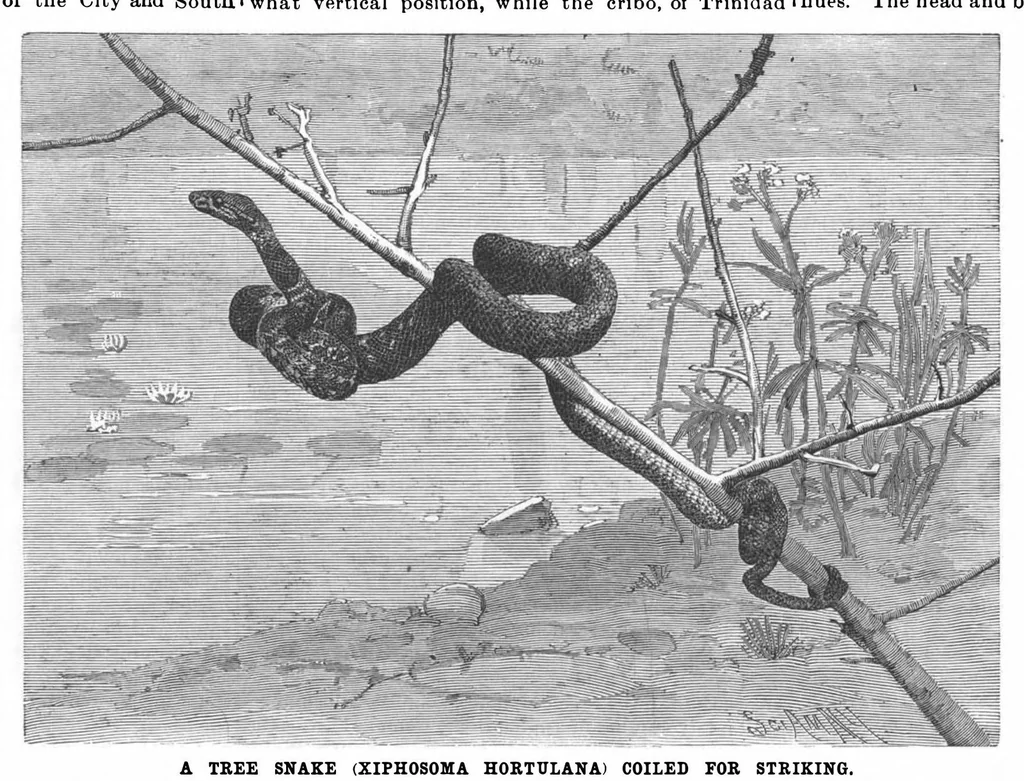 An illustration from Scientific American, Vol. 65, No. 6 (August 1891), 1891, leaf 8