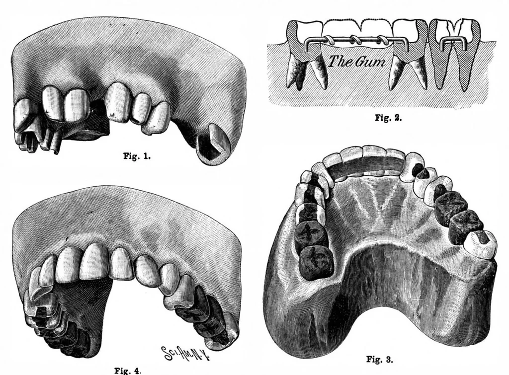 An illustration from Scientific American, Vol. 65, No. 16 (October 1891), 1891, leaf 5