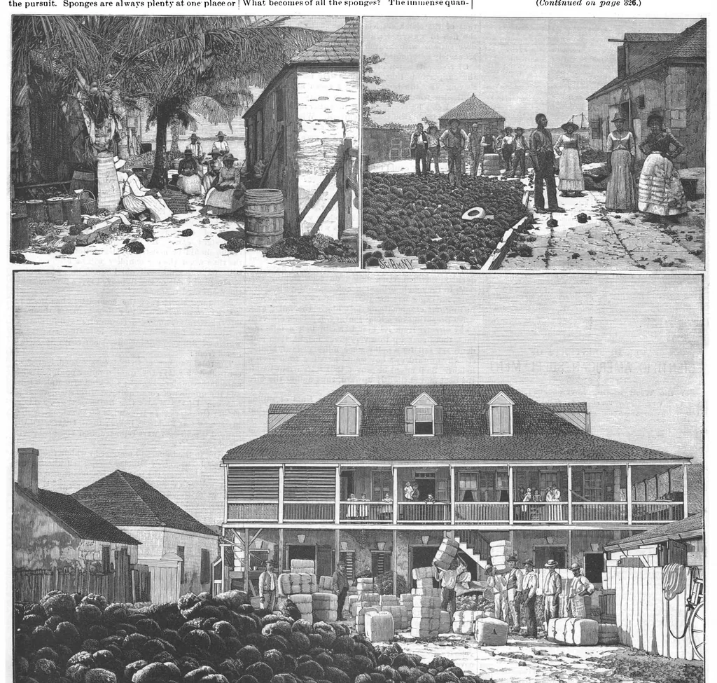 An illustration from Scientific American, Vol. 65, No. 21 (November 1891), 1891, leaf 0
