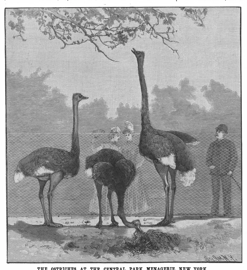 An illustration from Scientific American, Vol. 65, No. 23 (December 1891), 1891, leaf 8