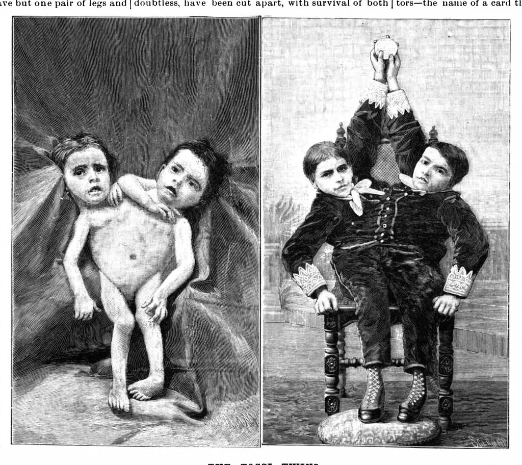 An illustration from Scientific American, Vol. 65, No. 24 (December 1891), 1891, leaf 7