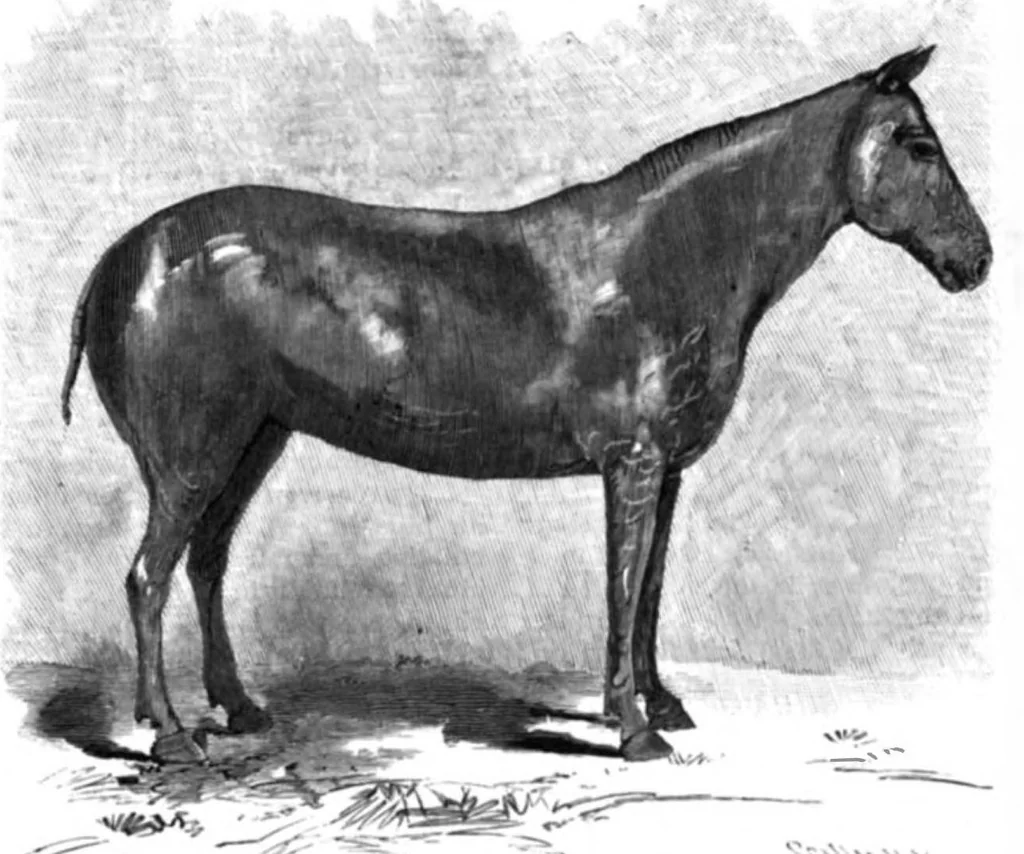 An illustration from Scientific American, Vol. 66, No. 3 (January 1892), 1892, leaf 7