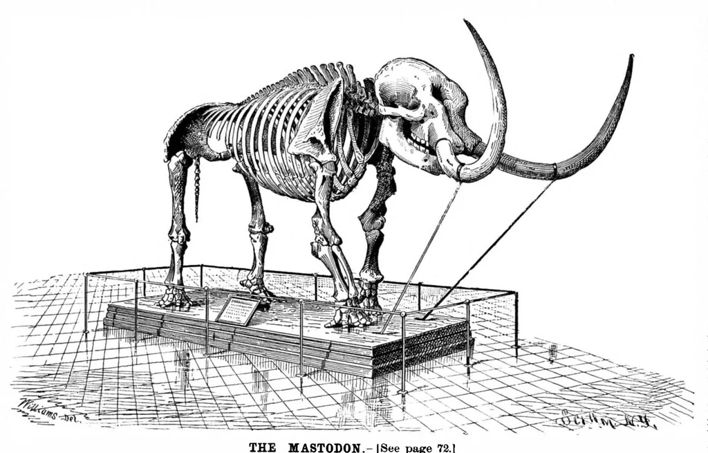 An illustration from Scientific American, Vol. 66, No. 5 (January 1892), 1892, leaf 8