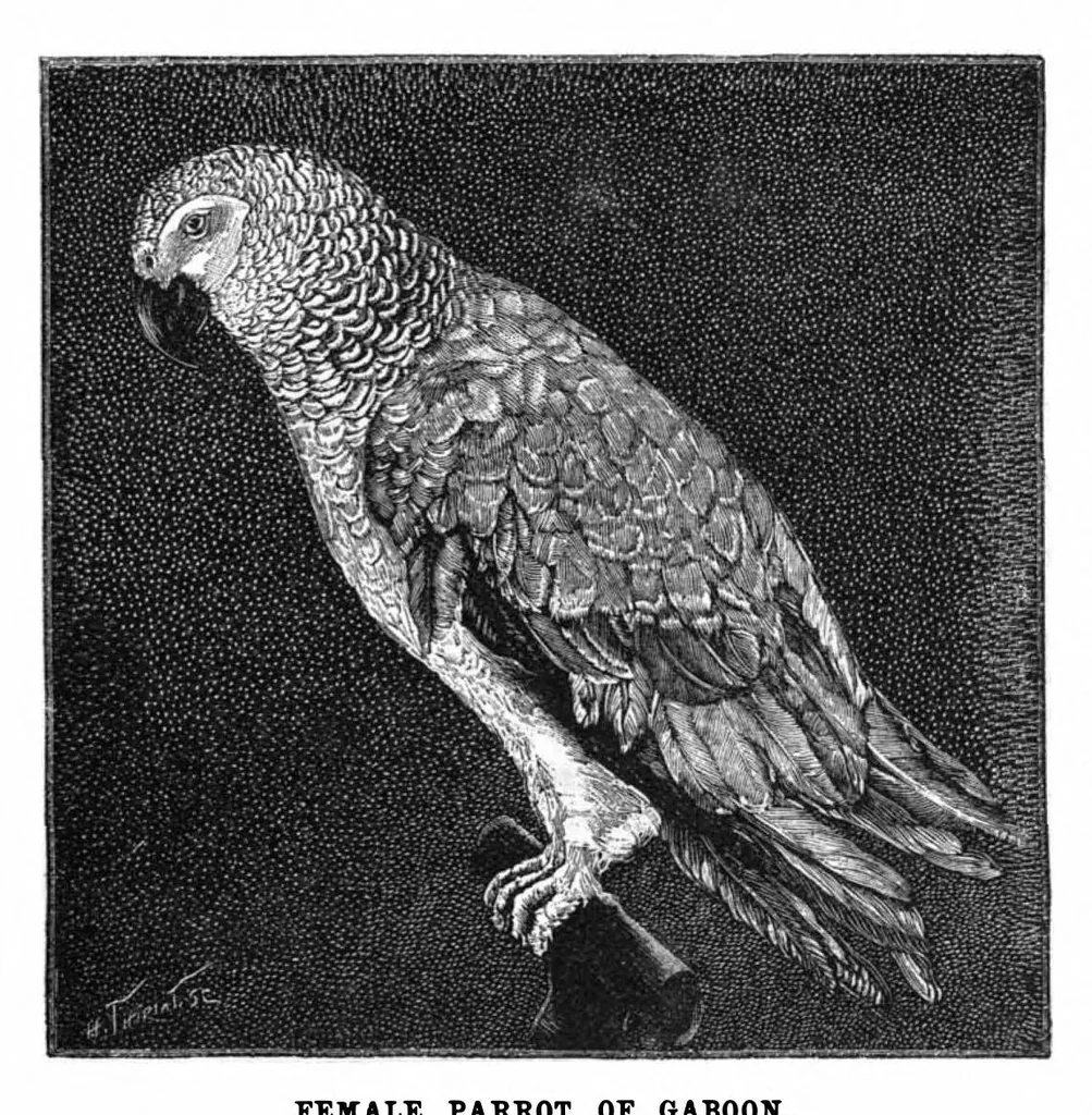 An illustration from Scientific American, Vol. 66, No. 26 (June 1892), 1892, leaf 3