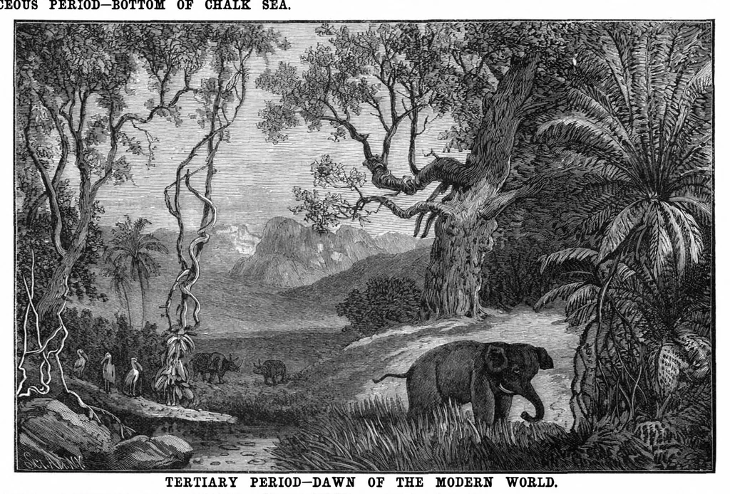 An illustration from Scientific American, Vol. 66, No. 26 (June 1892), 1892, leaf 7