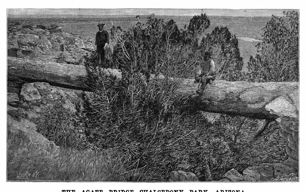 An illustration from Scientific American, Vol. 67, No. 4 (July 1892), 1892, leaf 8