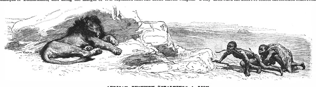 An illustration from Scientific American, Vol. 67, No. 7 (August 1892), 1892, leaf 8