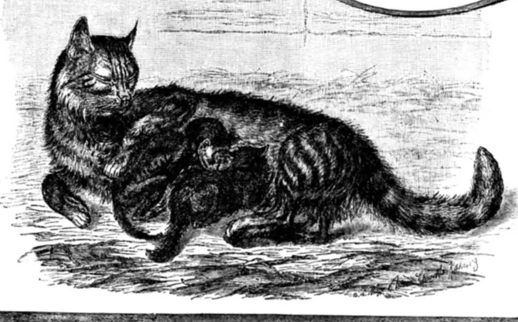 An illustration from Scientific American, Vol. 67, No. 9 (August 1892), 1892, leaf 10