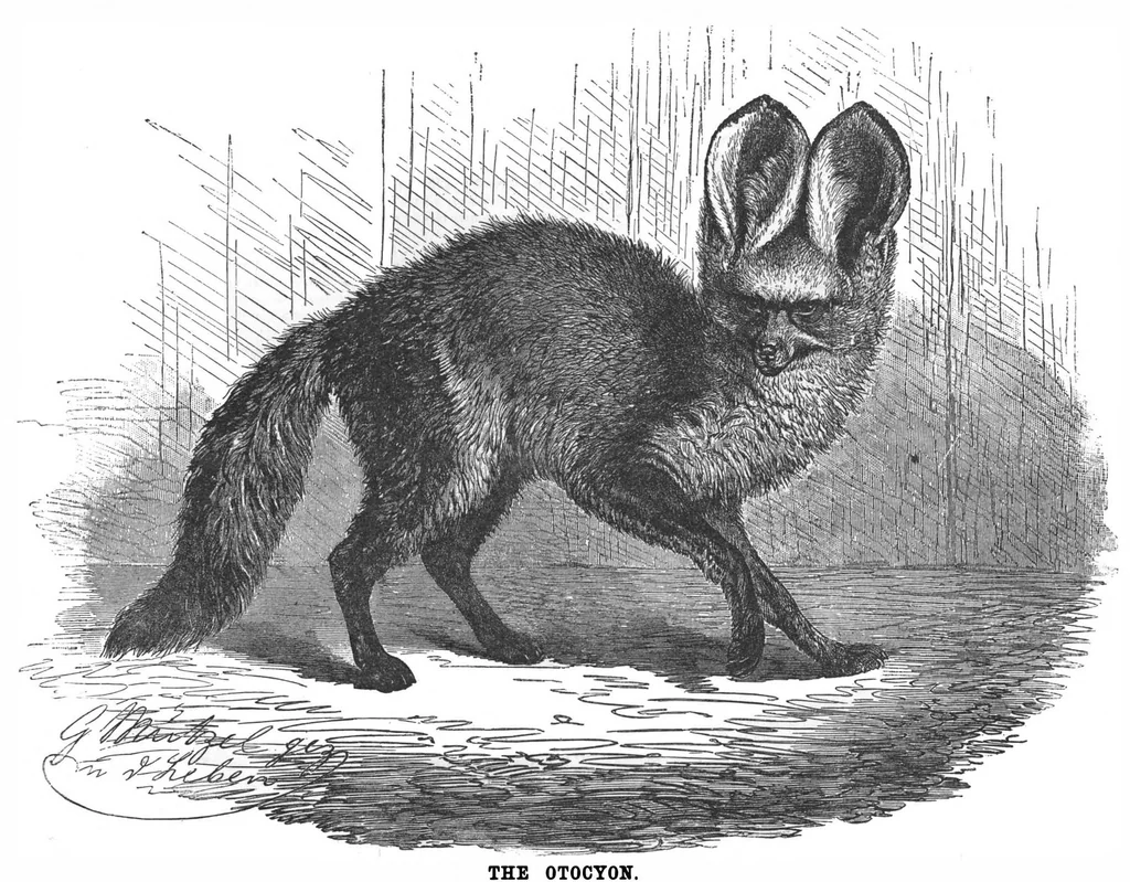 An illustration from Scientific American, Vol. 67, No. 11 (September 1892), 1892, leaf 10