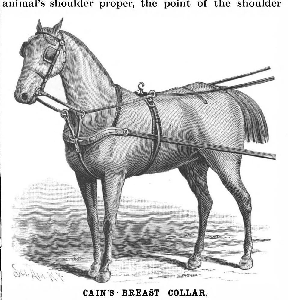 An illustration from Scientific American, Vol. 67, No. 25 (December 1892), 1892, leaf 3