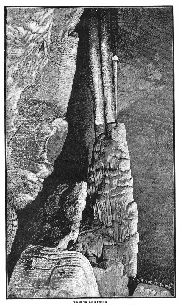 An illustration from Scientific American, Vol. 68, No. 5 (February 1893), 1893, leaf 0