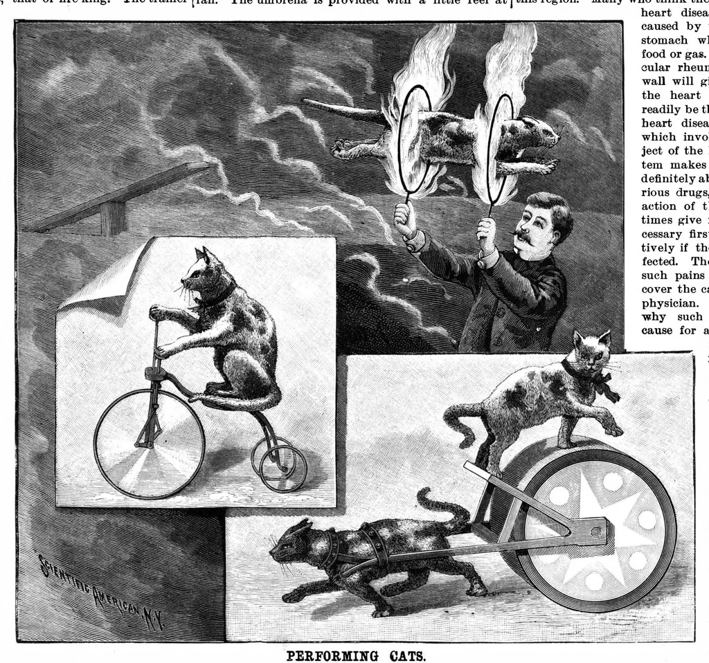 An illustration from Scientific American, Vol. 68, No. 5 (February 1893), 1893, leaf 7