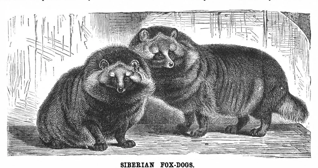 An illustration from Scientific American, Vol. 68, No. 8 (February 1893), 1893, leaf 10