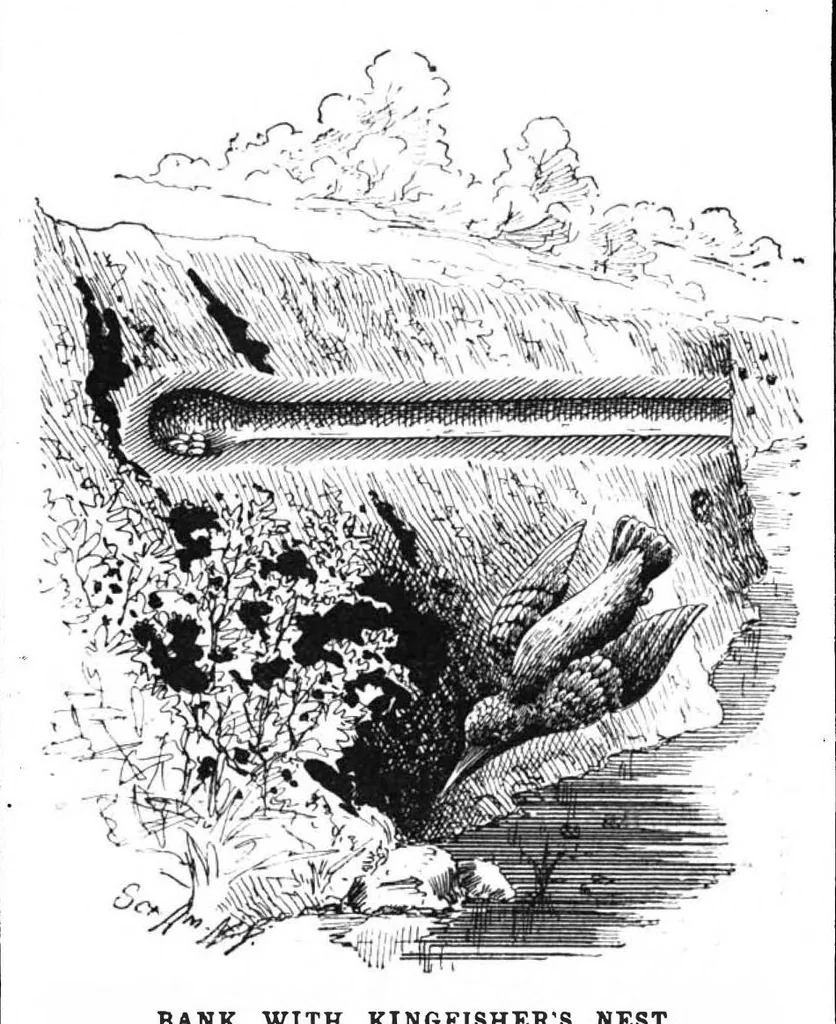 An illustration from Scientific American, Vol. 68, No. 14 (April 1893), 1893, leaf 9