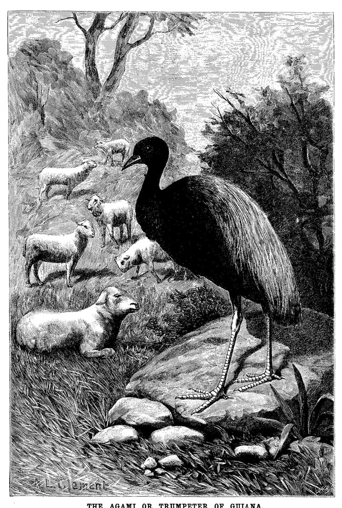 An illustration from Scientific American, Vol. 68, No. 20 (May 1893), 1893, leaf 9