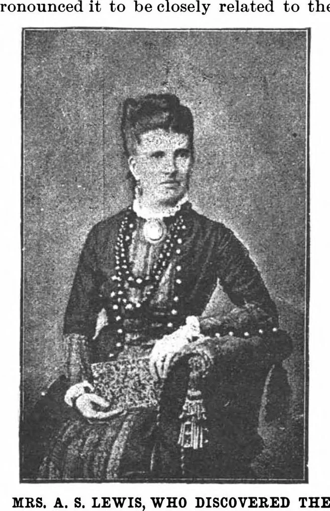 An illustration from Scientific American, Vol. 68, No. 22 (June 1893), 1893, leaf 9