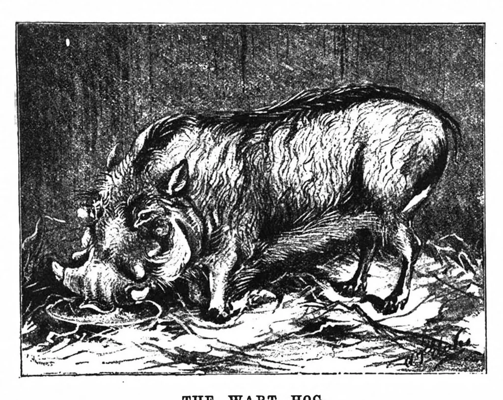An illustration from Scientific American, Vol. 69, No. 2 (July 1893), 1893, leaf 10